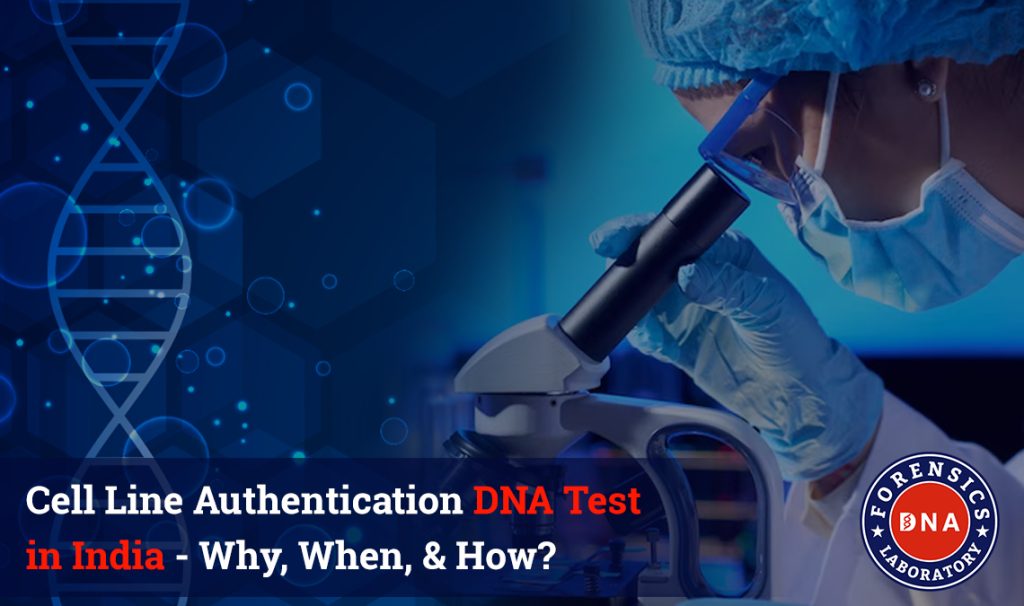 Cell Line Authentication DNA Test in India – Why, When, & How?