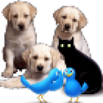 Profile picture of krishnaveni